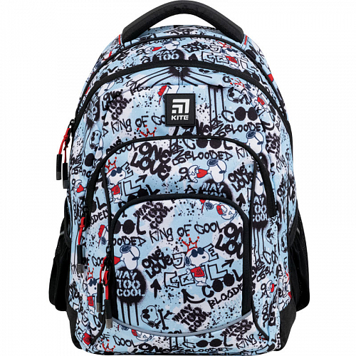 Шкільний рюкзак Kite Education SN21-814M