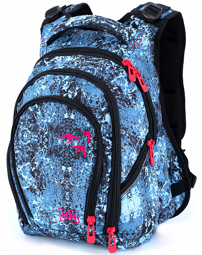 Підлітковий шкільний рюкзак з ортопедичною спинкою для дівчинки Winner  для підлітка (250)
