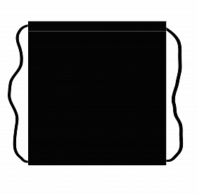 Мешок для сменной обуви для мальчика с Динозавром Winner /SkyName M-152