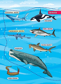 Енциклопедія з наліпками — Мешканці морів та океанів