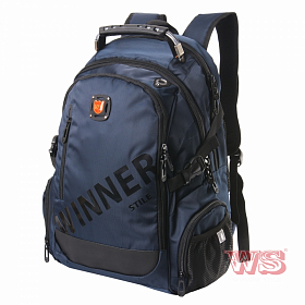 Молодежный рюкзак Winner Stile 234А Молодежный рюкзак Winner Stile 234А