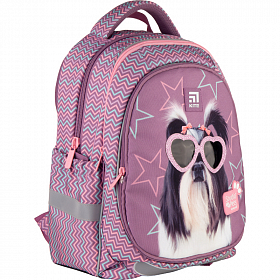 Шкільний рюкзак Kite Education Studio Pets SP21-700M(2p) Шкільний рюкзак Kite Education Studio Pets SP21-700M(2p)