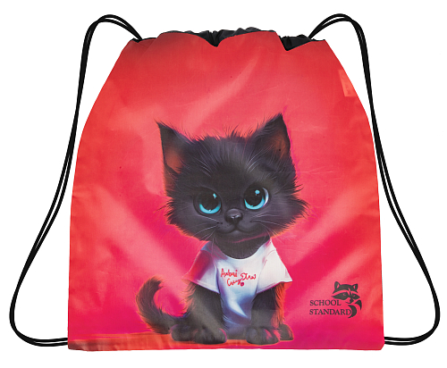 Мішок для змінного взуття для дівчинки з Котиком School Standard MSS-26