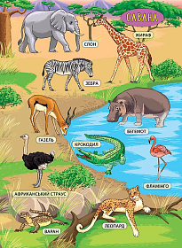 Енциклопедія з наліпками — Тварини світу