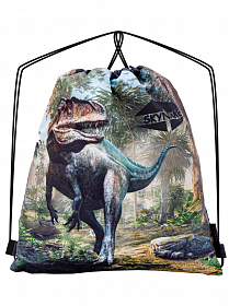 Мешок для сменной обуви для мальчика с Динозавром Winner /SkyName M-152