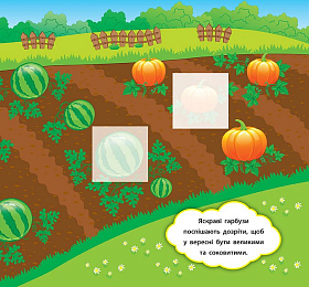 Книга наліпки-розвивалки — Що росте на городі