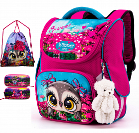 Шкільний ранець з пеналом та мішком Winner  Full 2043 Шкільний ранець з пеналом та мішком Winner  Full 2043